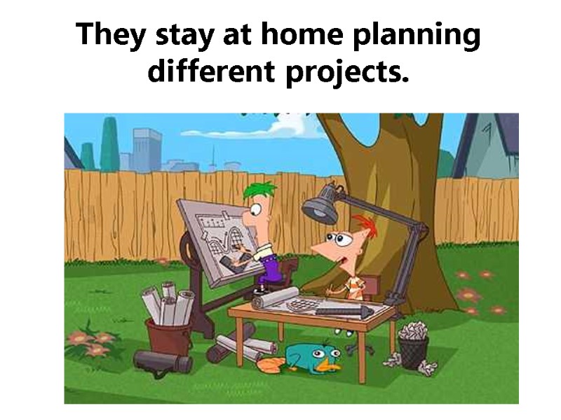 They stay at home planning different projects.
